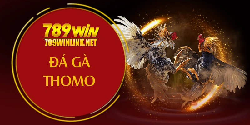 Đá gà thomo